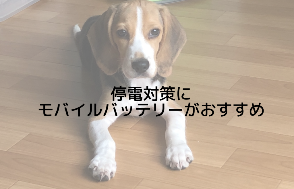 停電対策にモバイルバッテリーがおすすめ